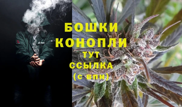 тгк Белокуриха